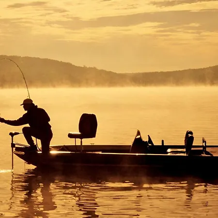 Alexandra's Superior Домазо