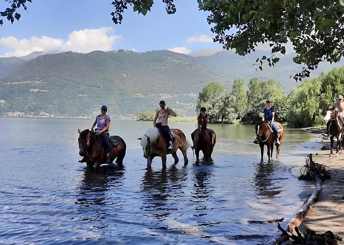 Apartmán Alexandra's Superior *